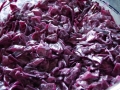 Roter-Coleslaw-11